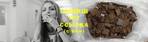 spice Богородицк